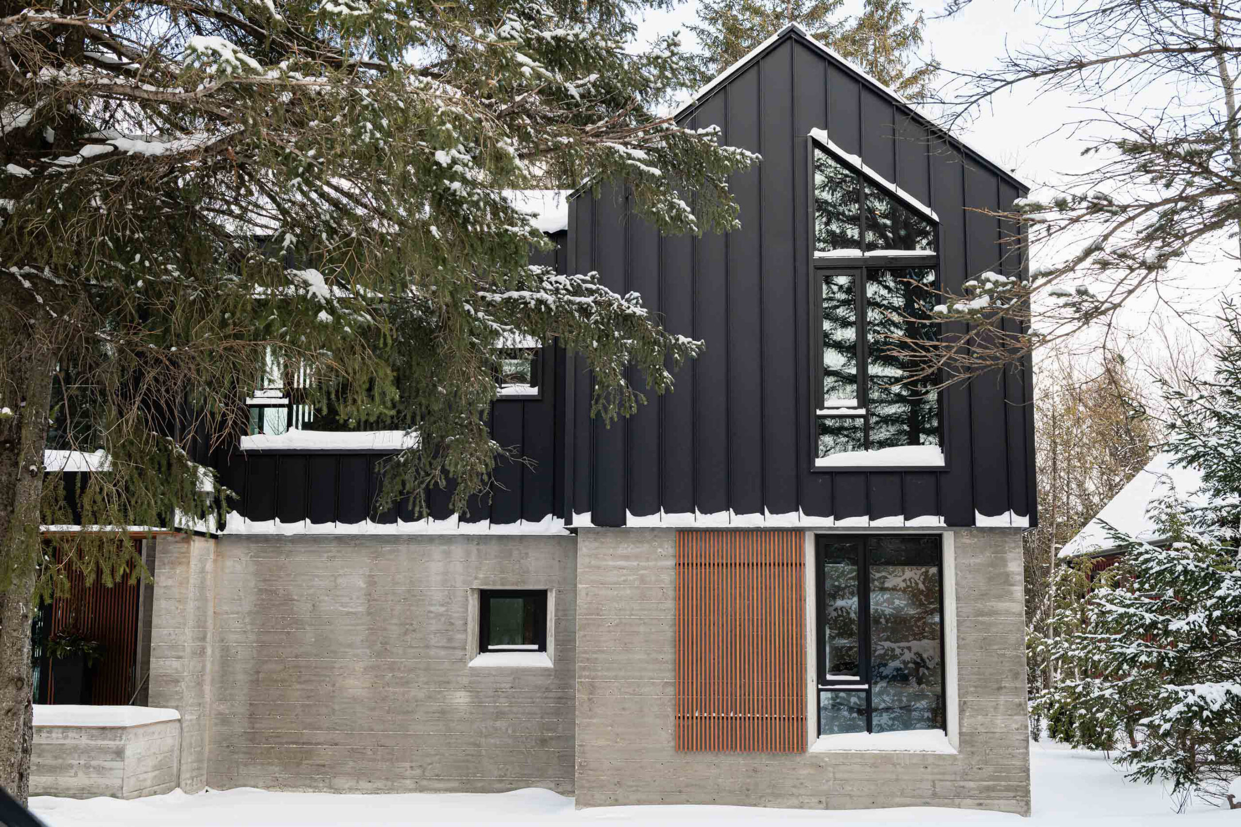Modern Blue Mountain chalet with clean lines, board formed concrete walls, black metal siding, and wood detailing