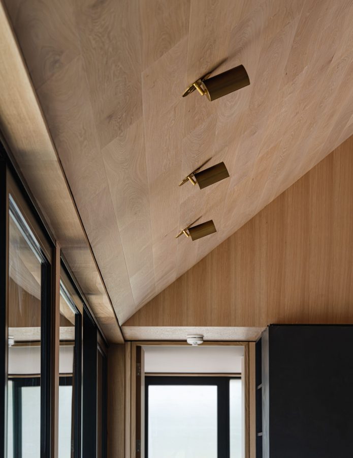 ceiling detail of a modern barn featuring wood ceiling, modern brass lighting and extensive glazing
